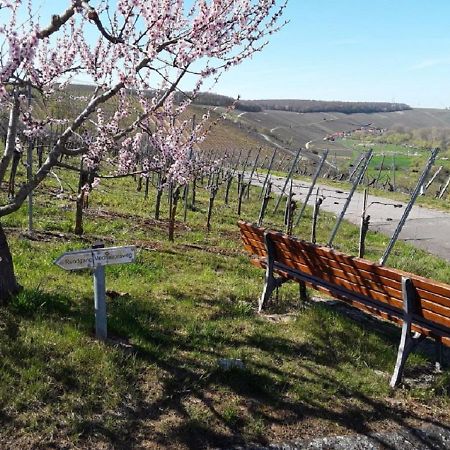 Ferienwohnung - Zimmervermietung Ringelmann Dettelbach Bagian luar foto