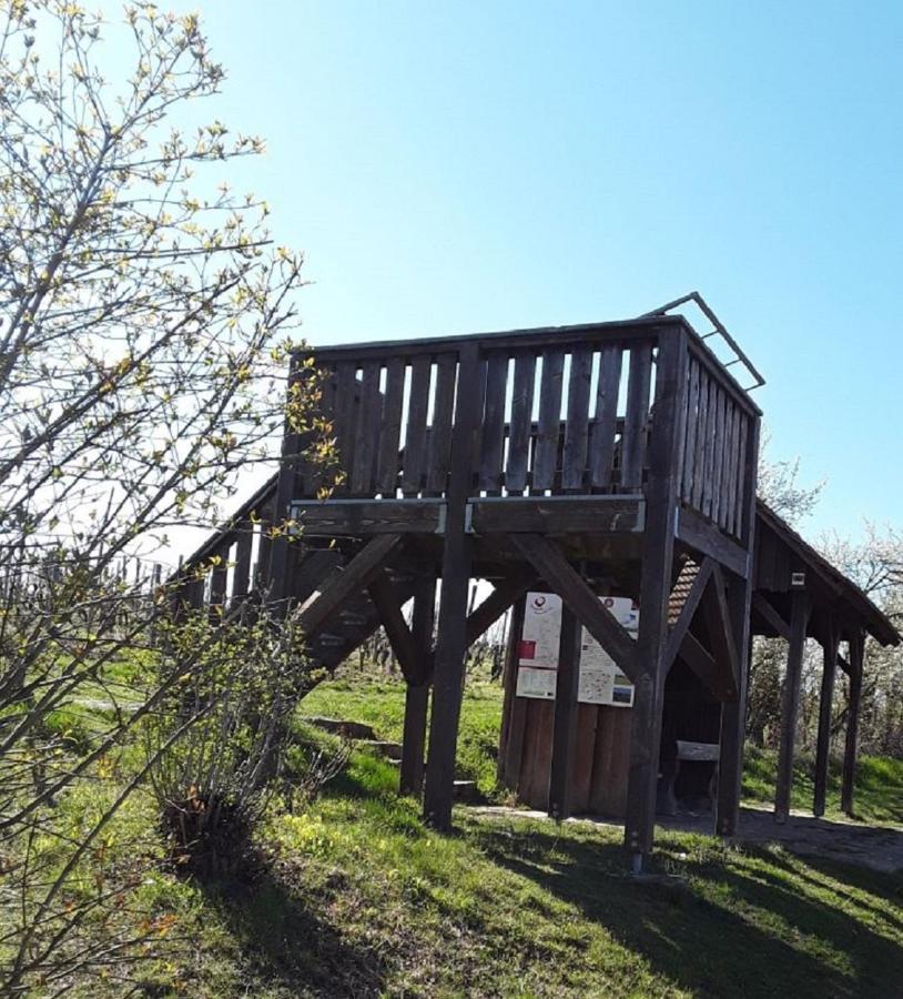 Ferienwohnung - Zimmervermietung Ringelmann Dettelbach Bagian luar foto
