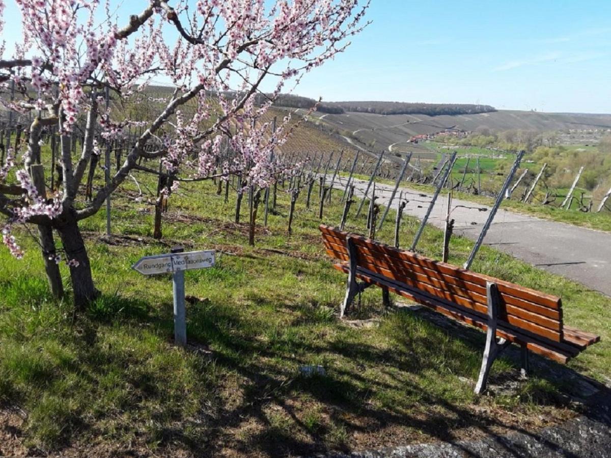 Ferienwohnung - Zimmervermietung Ringelmann Dettelbach Bagian luar foto