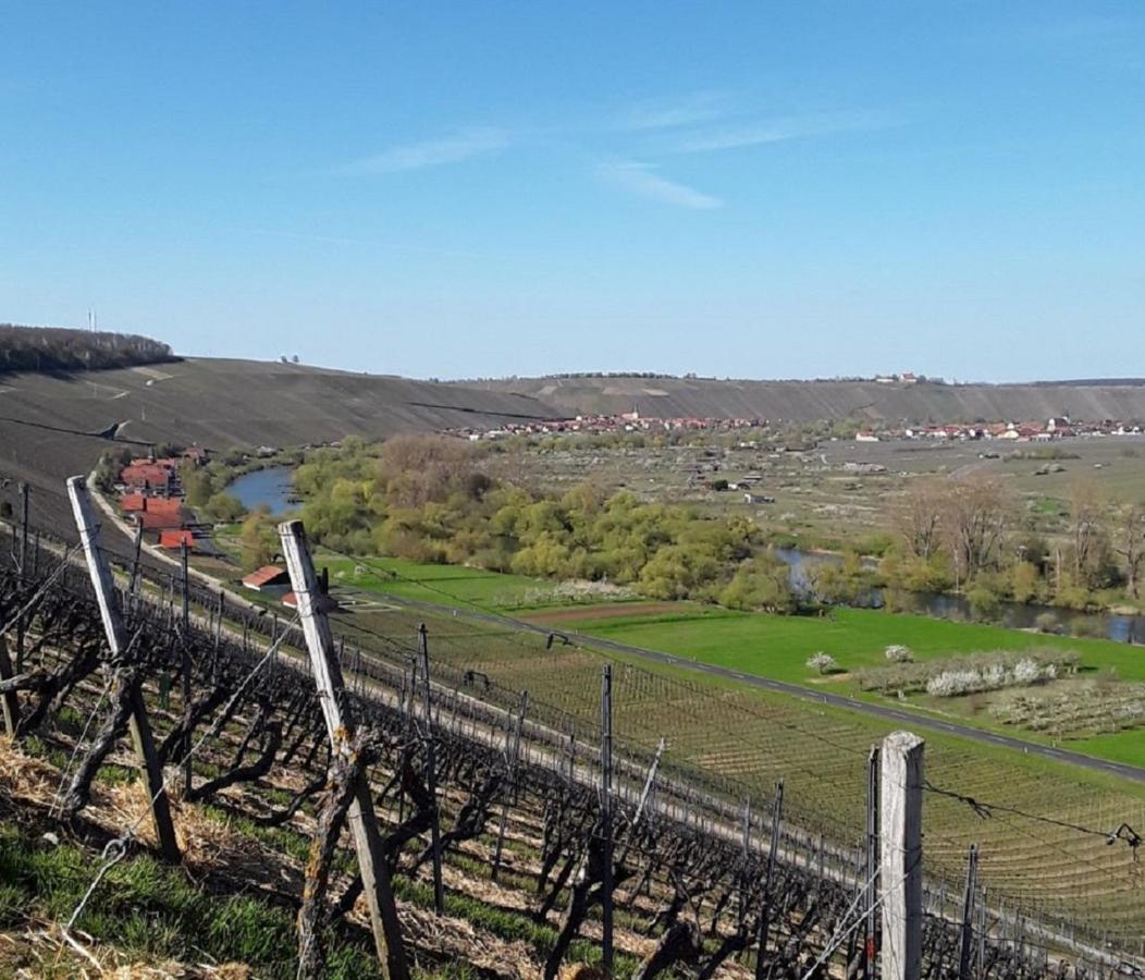 Ferienwohnung - Zimmervermietung Ringelmann Dettelbach Bagian luar foto
