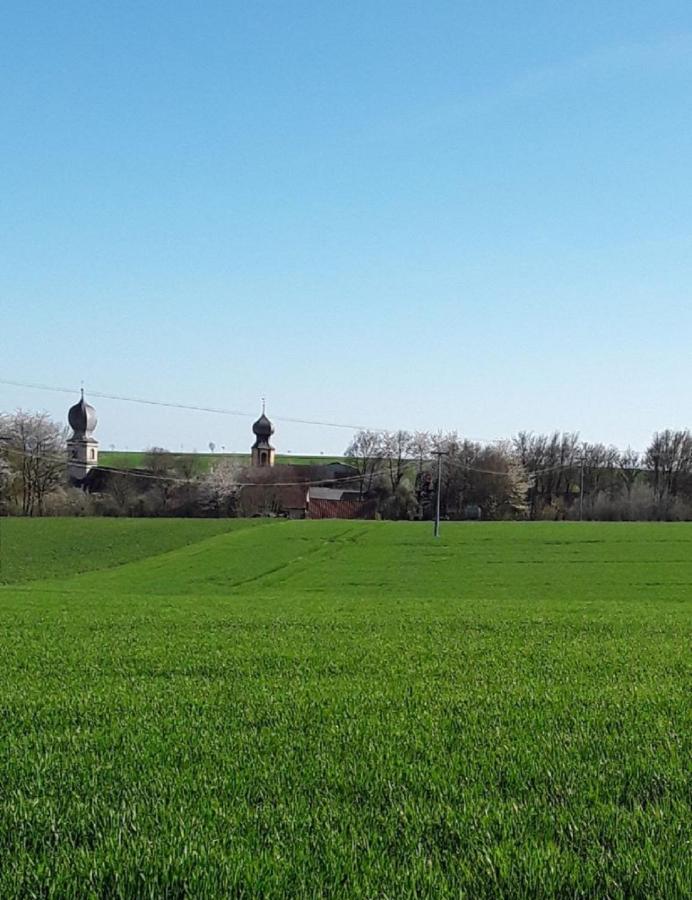 Ferienwohnung - Zimmervermietung Ringelmann Dettelbach Bagian luar foto
