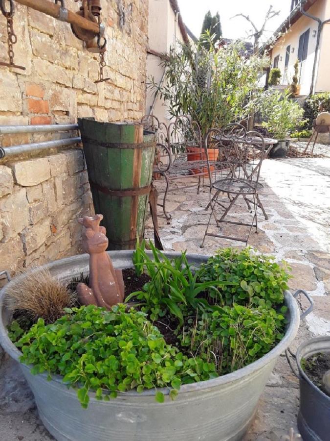 Ferienwohnung - Zimmervermietung Ringelmann Dettelbach Bagian luar foto