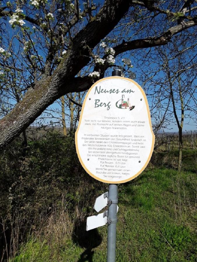 Ferienwohnung - Zimmervermietung Ringelmann Dettelbach Bagian luar foto